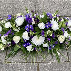 Purple And White Spray