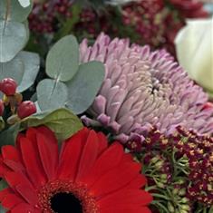 Florist Choice Christmas Gift Wrapped 