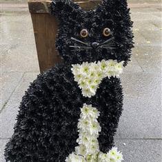 Cat Tribute